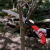 Hand Pruning Saw;  Folding Camping Saw;  Strong SK-5 Sharp Tree Saws with 10" Blade - Perfect for Pruning Trimming Trees Branches Camping